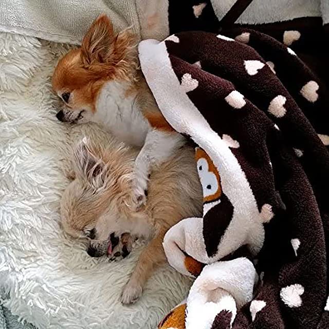 Original Snuggle Puppy Essentials Starter Kit. Heartbeat Dog Toy and Calming Aid with 3 Heat Packs, Puppy Teething Toy, Dog Chew Toy and Dog Blanket.