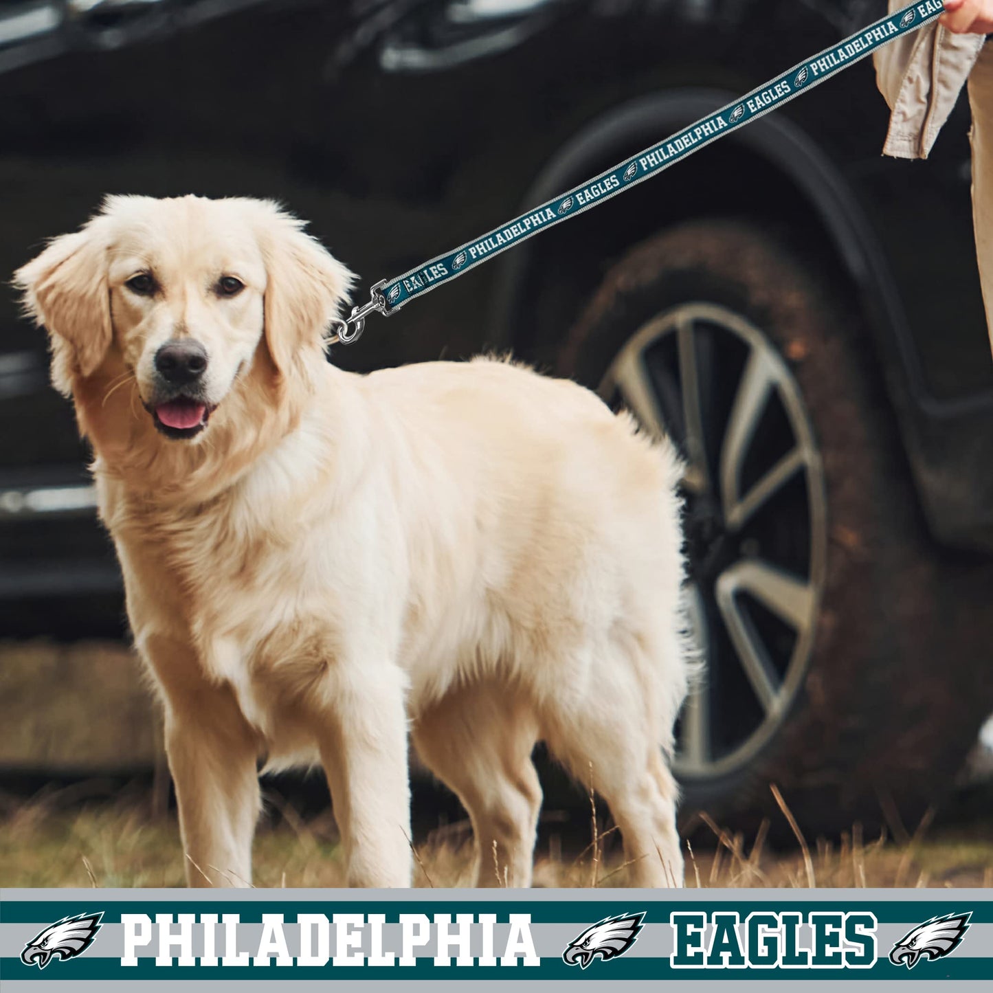 NFL PET Leash Philadelphia Eagles Dog Leash, Large Football Team Leash for Dogs & Cats. A Shiny & Colorful Cat Leash & Dog Leash Licensed by The NFL