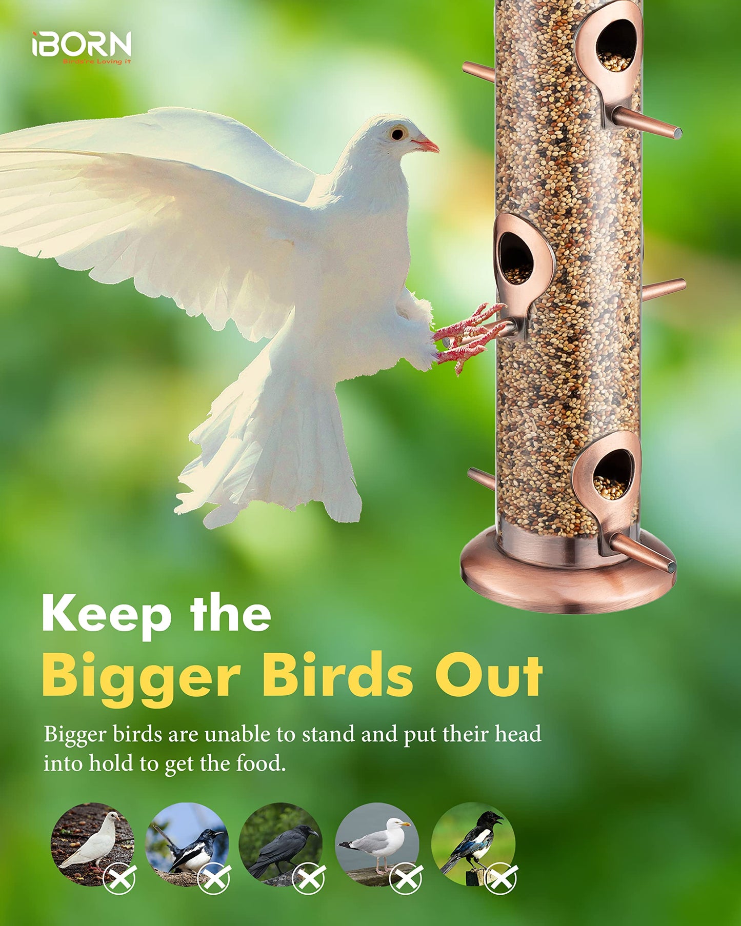 iBorn Metal Bird Feeders Brushed Copper Wild Bird Feeder for Outdoors Hanging All Metal Brushed Copper Finishing 14 Inch 6 Port(Seed is not Included)