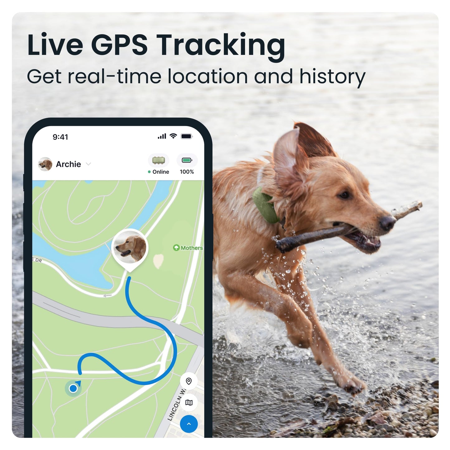 Tractive XL GPS Dog Tracker (50 lbs+) | Real-time Pet Location Tracker | Health & Wellness Alerts | Virtual Fence for Dogs | Dog Collar Attachment (Green)