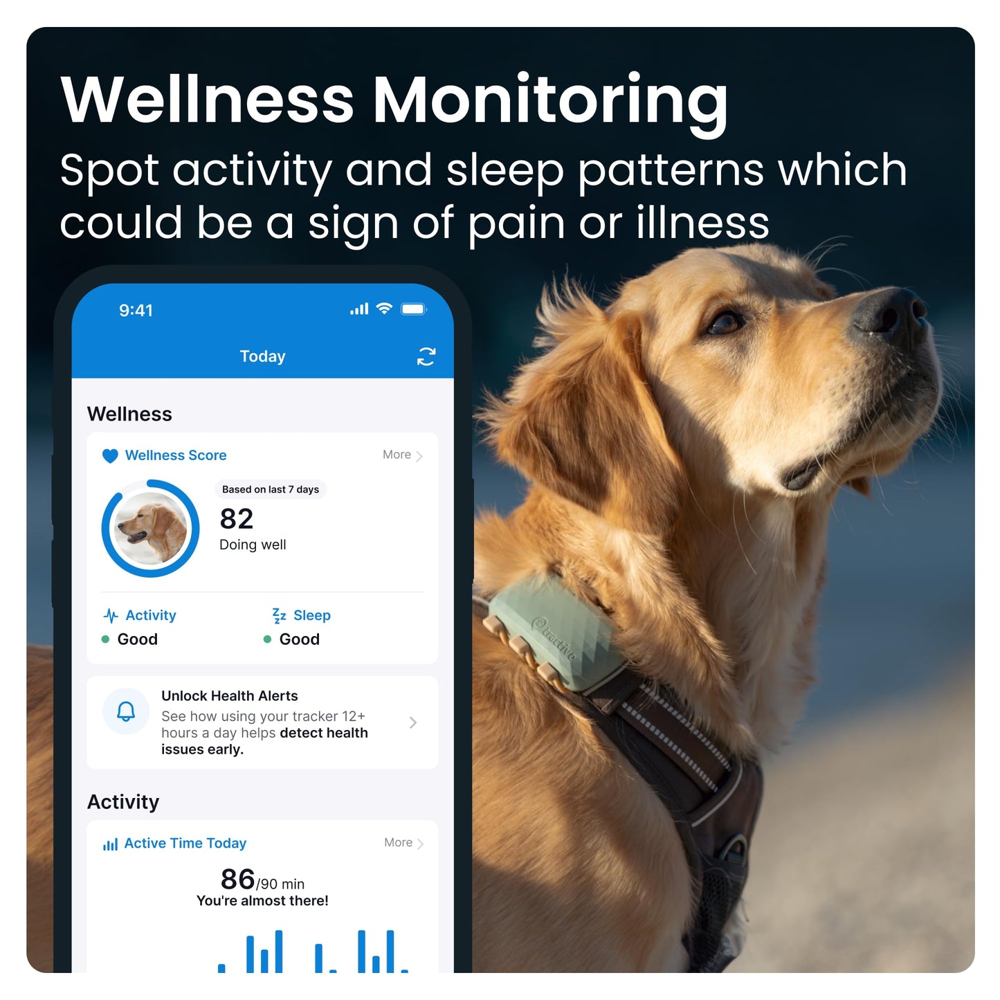 Tractive XL GPS Dog Tracker (50 lbs+) | Real-time Pet Location Tracker | Health & Wellness Alerts | Virtual Fence for Dogs | Dog Collar Attachment (Green)