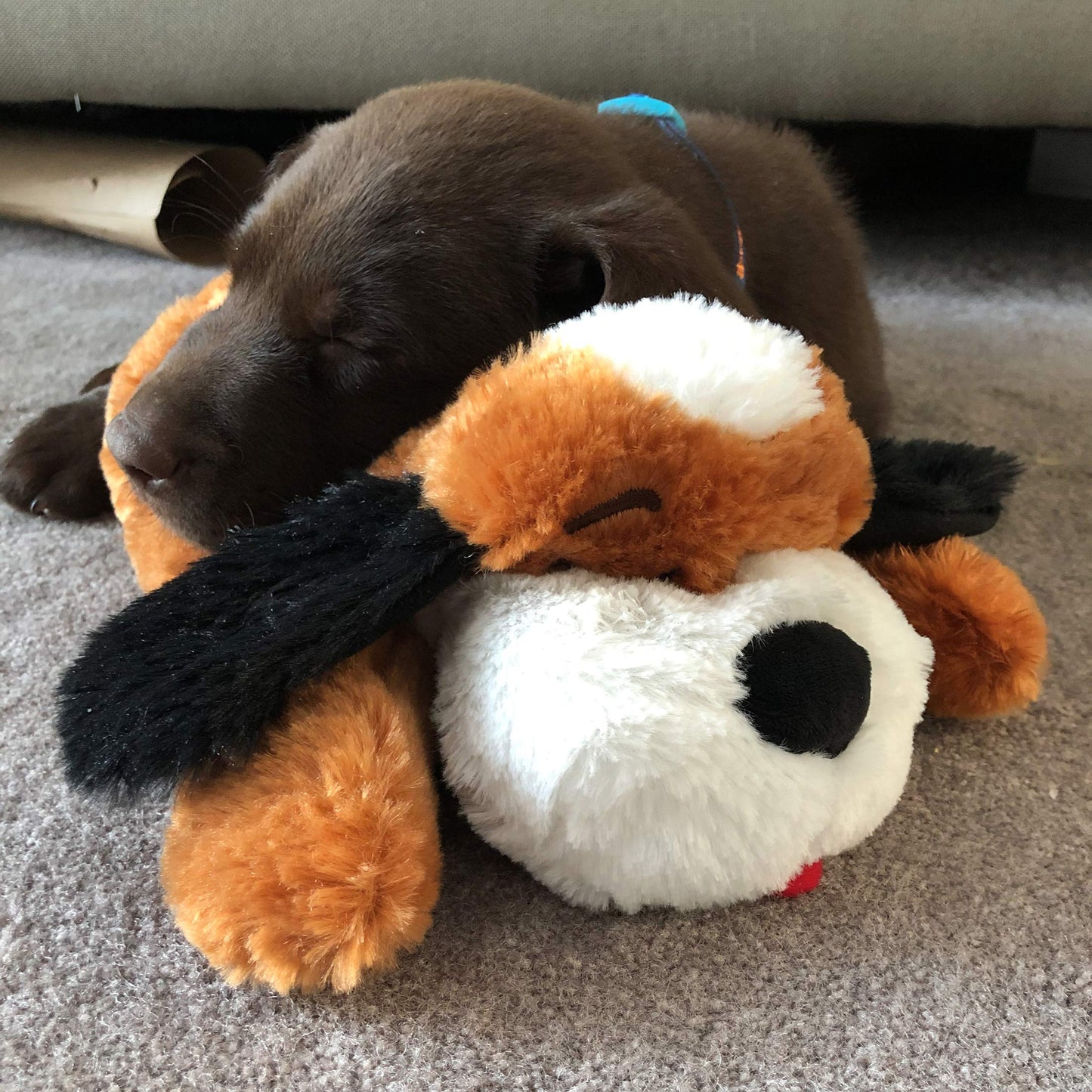 Original Snuggle Puppy Heartbeat Stuffed Dog Toys. Dog Plush for Anxiety Relief, Calming Aid, and Puppy Toy for Behavioral Training