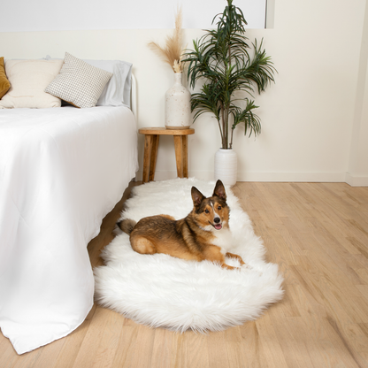 PupRug™ Runner Faux Fur Memory Foam Dog Bed - Curve Polar White