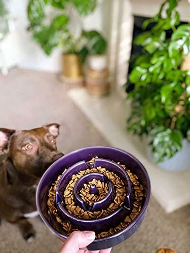 LE TAUCI Dog Bowls Slow Feeder Ceramic, 1.5 Cups Slow Feeding Dog Bowl Small Medium Breed, Puppy Slow Feeder Bowl for Fast Eater, Dog Dishes to Slow Down Eating, Puzzle Dog Food Bowl, Maze Purple