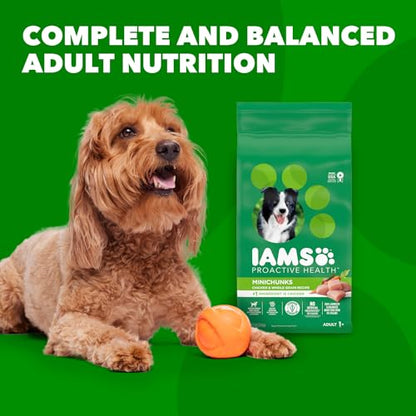 IAMS Proactive Health Minichunks Adult Dry Dog Food with Real Chicken, 30 lb. Bag