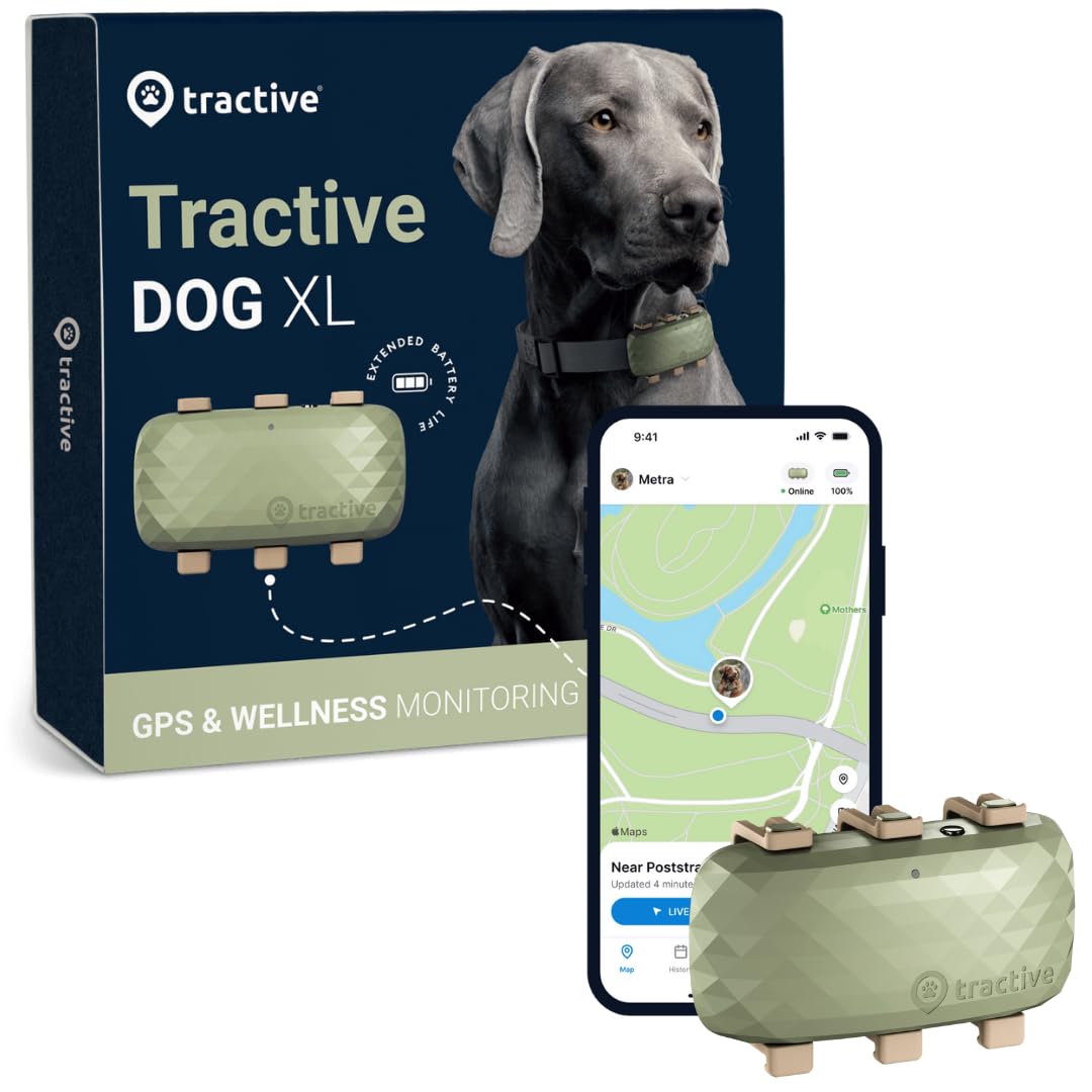 Tractive XL GPS Dog Tracker (50 lbs+) | Real-time Pet Location Tracker | Health & Wellness Alerts | Virtual Fence for Dogs | Dog Collar Attachment (Green)