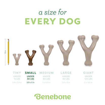 Benebone Wishbone Durable Dog Chew Toy for Aggressive Chewers, Made in USA, Small, Real Bacon Flavor