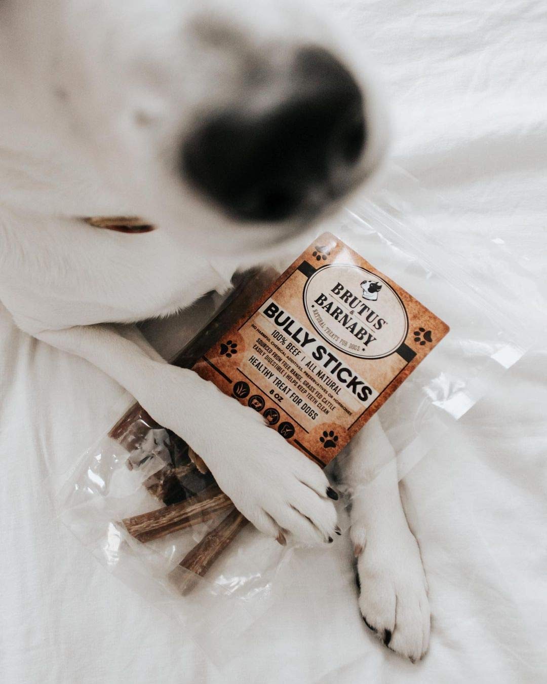 BRUTUS & BARNABY Grass Fed Bully Sticks for Dogs, Fully Digestible Dog chew, Grain Free, Rawhide Free, 100% Natural Beef, Small Batched for Freshness and Low Odor