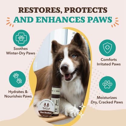 Natural Dog Company Paw Soother Balm for Dogs 4oz Tin, Organic Soothing & Moisturizing Relief for Dry, Cracked Paws, Winter Healing Relief, Gentle & Lick-Safe