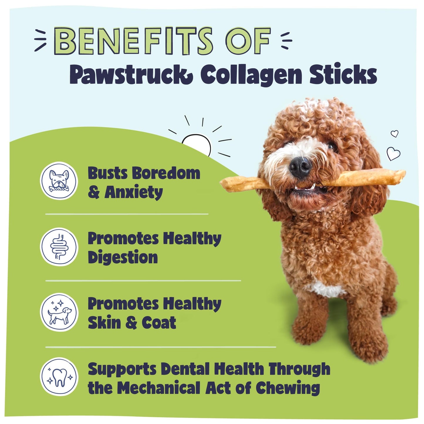 Pawstruck Natural Large 12" Beef Collagen Sticks for Dogs - Healthy Long Lasting Alternative to Traditional Rawhide - High Protein Treats w/Chondroitin & Glucosamine - 5 Count - Packaging May Vary