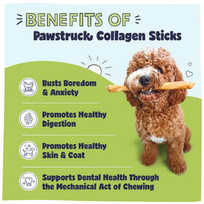 Pawstruck Natural Large 12" Beef Collagen Sticks for Dogs - Healthy Long Lasting Alternative to Traditional Rawhide - High Protein Treats w/Chondroitin & Glucosamine - 5 Count - Packaging May Vary