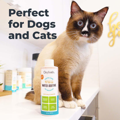 Oxyfresh Premium Pet Dental Care Solution Pet Water Additive: Best Way to Eliminate Bad Dog Breath and Cat Bad Breath - Fights Tartar & Plaque - So Easy, Just Add to Water! Vet Recommended 16 oz.