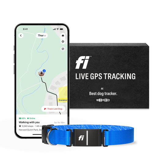 Fi Series 3 Smart Dog Collar - GPS Dog Tracker and Activity & Health Monitor, Waterproof, LED Light, Escape Alerts, Nationwide Coverage [Free 1 Year Membership] (Blue, Large)