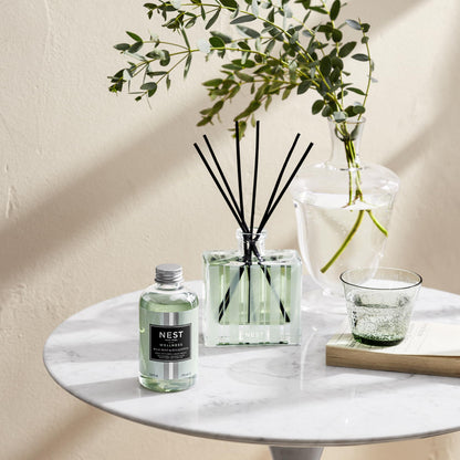 NEST New York Wild Mint & Eucalyptus Reed Diffuser