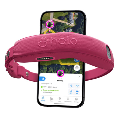 Halo Collar 4, All New GPS Wireless Dog Fence & Training Collar with Real-Time Tracking, Waterproof, One Size (4 Colors)