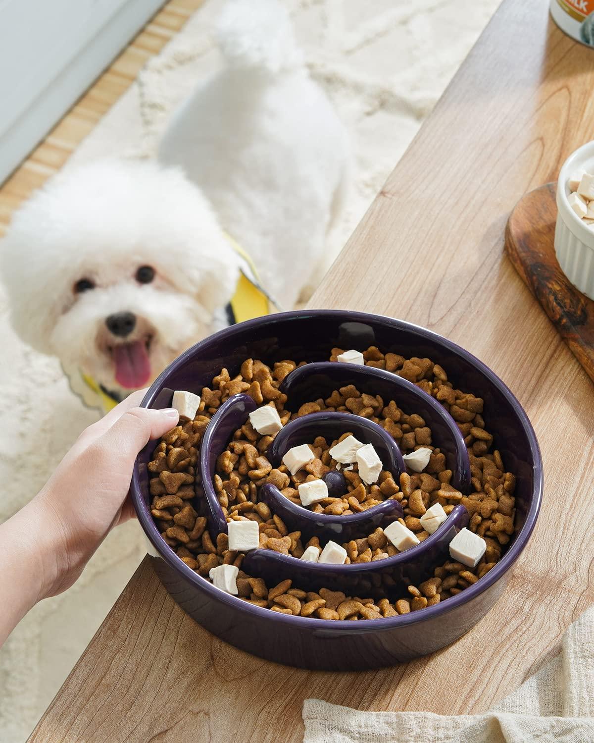 LE TAUCI Dog Bowls Slow Feeder Ceramic, 1.5 Cups Slow Feeding Dog Bowl Small Medium Breed, Puppy Slow Feeder Bowl for Fast Eater, Dog Dishes to Slow Down Eating, Puzzle Dog Food Bowl, Maze Purple