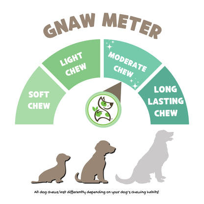 Nature Gnaws Beef Tendons for Dogs (1Lb) - Mixed Thickness - Long Lasting for Small and Medium Dogs - Natural Beef Jerky Dog Chew Bones - Rawhide Free