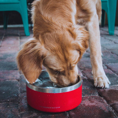 Coldest Dog Bowl - Anti Rust Metal & Non Slip Dog Bowls Large, Spill Proof Heavy Duty 3 Layers Insulated Dog Bowl - Food and Water Bowl for Dogs, Cats & Pets, Dishwasher Safe (42 oz, Celestial Blue)