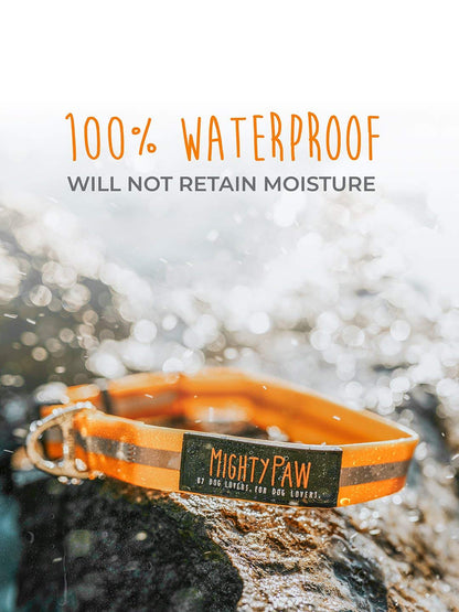 Mighty Paw Waterproof Dog Collar - Smell-Proof Active Gear - Reflective Stripe Coated Nylon Webbing - Heavy Duty Reflective Leash - Comfortable Dog Collar for All Dog Breeds - (Orange, Small)