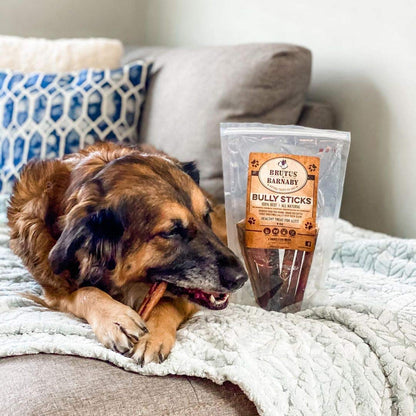 BRUTUS & BARNABY Grass Fed Bully Sticks for Dogs, Fully Digestible Dog chew, Grain Free, Rawhide Free, 100% Natural Beef, Small Batched for Freshness and Low Odor