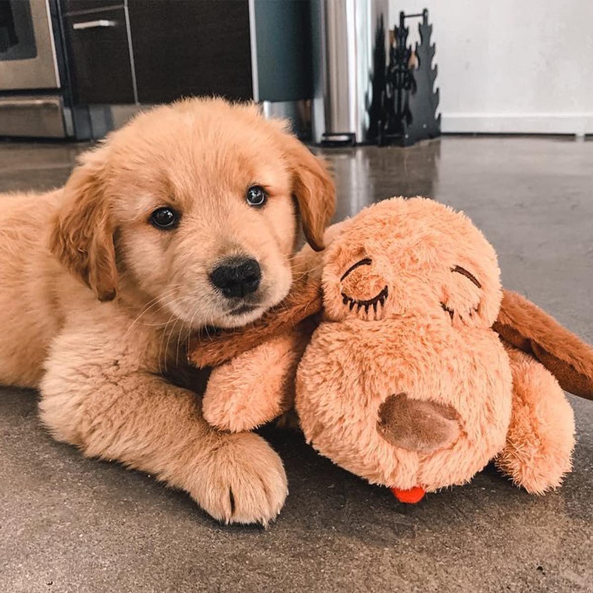 Original Snuggle Puppy Essentials Starter Kit. Heartbeat Dog Toy and Calming Aid with 3 Heat Packs, Puppy Teething Toy, Dog Chew Toy and Dog Blanket.