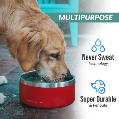 Coldest Dog Bowl - Anti Rust Metal & Non Slip Dog Bowls Large, Spill Proof Heavy Duty 3 Layers Insulated Dog Bowl - Food and Water Bowl for Dogs, Cats & Pets, Dishwasher Safe (42 oz, Celestial Blue)