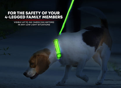 Illumiseen LED Dog Collar USB Rechargeable - Bright & High Visibility Lighted Glow Collar for Pet Night Walking - Weatherproof, in 6 Colors & 6 Sizes (Green Large)