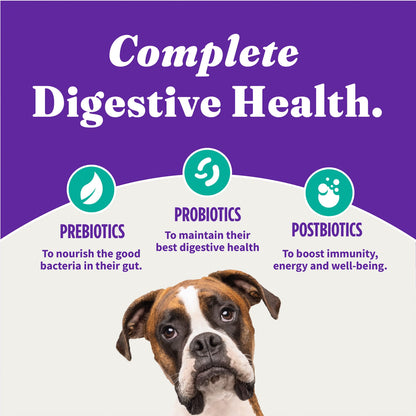 Halo Holistic Plant-Based Recipe with Kelp, Complete Digestive Health, Vegan Dry Dog Food Bag, Adult Formula, 21-lb Bag