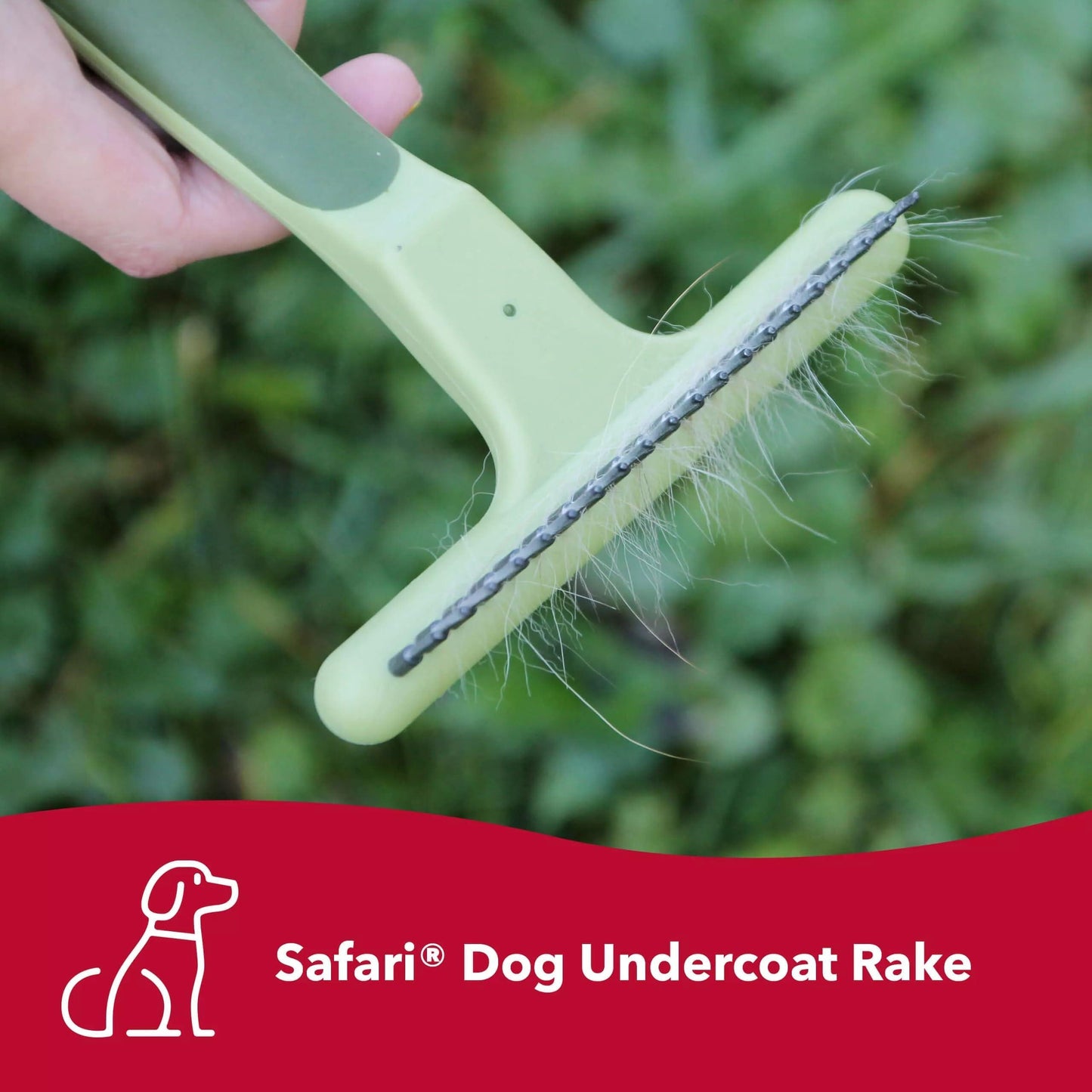 Coastal Pet Safari Single Row Undercoat Rake - Gentle Dematting and Deshedding Tool for Dogs, Pet Grooming Comb