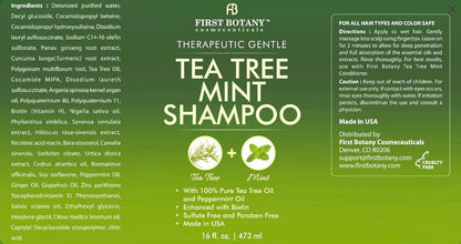 Tea Tree Mint Shampoo and Conditioner - Pure Tea Tree Oil & Peppermint Oil - Fights Hair Loss, Promotes Hair Growth, Fights Dandruff, Lice & Itchy Scalp - for Men and Women Sulfate Free - 16 fl oz x 2