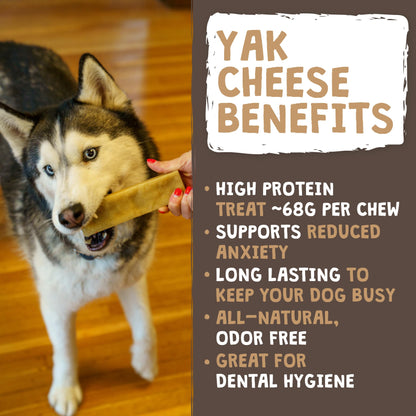 Mighty Paw Yak Cheese Dog Chews - All-Natural Treats for Dogs - High Protein Treat With 68 Grams Of Protein Per Chew - Delicious And Long Lasting - Odor Free With Limited Ingredients - (Large, 4 Pack)