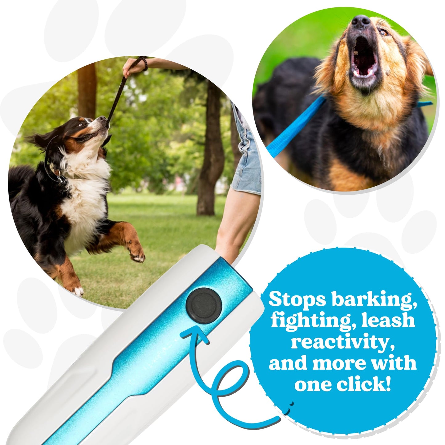 The Doggie Don't Device, Batteries Included, Safe, Easy, Non-Shocking, Sound Only Dog Training Tool - Stop Unwanted Behaviors, Barking, Jumping up with a Loud Sound