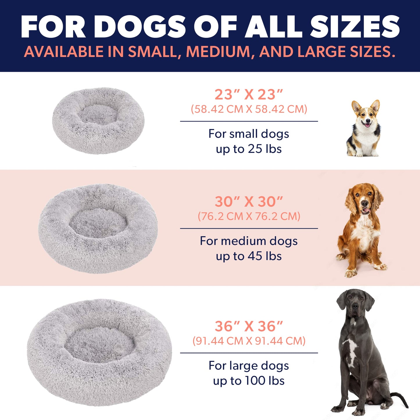 Premium Dog Beds for Large Dogs and Medium Dogs - Portable Dog Beds & Furniture - Dog Travel - Fits up to 25 lbs, (Small, Beige)