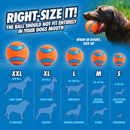 Chuckit! Ultra Ball Dog Toy - Medium Bouncy Fetch Balls For Dogs 20-60 lbs - Made from Durable Rubber - Floating Water Pet Toys - Size Medium - 2.5-inch Diameter - Pack of 2