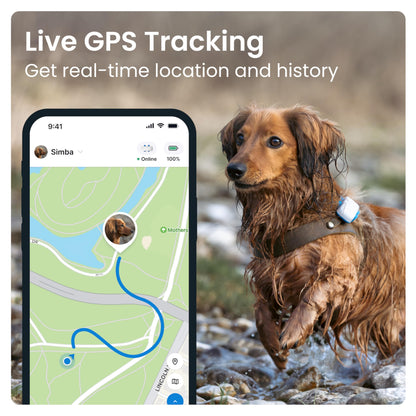 Tractive GPS Tracker for Dogs - Waterproof, GPS Location & Smart Pet Activity Tracker, Unlimited Range, Works with Any Collar (White)