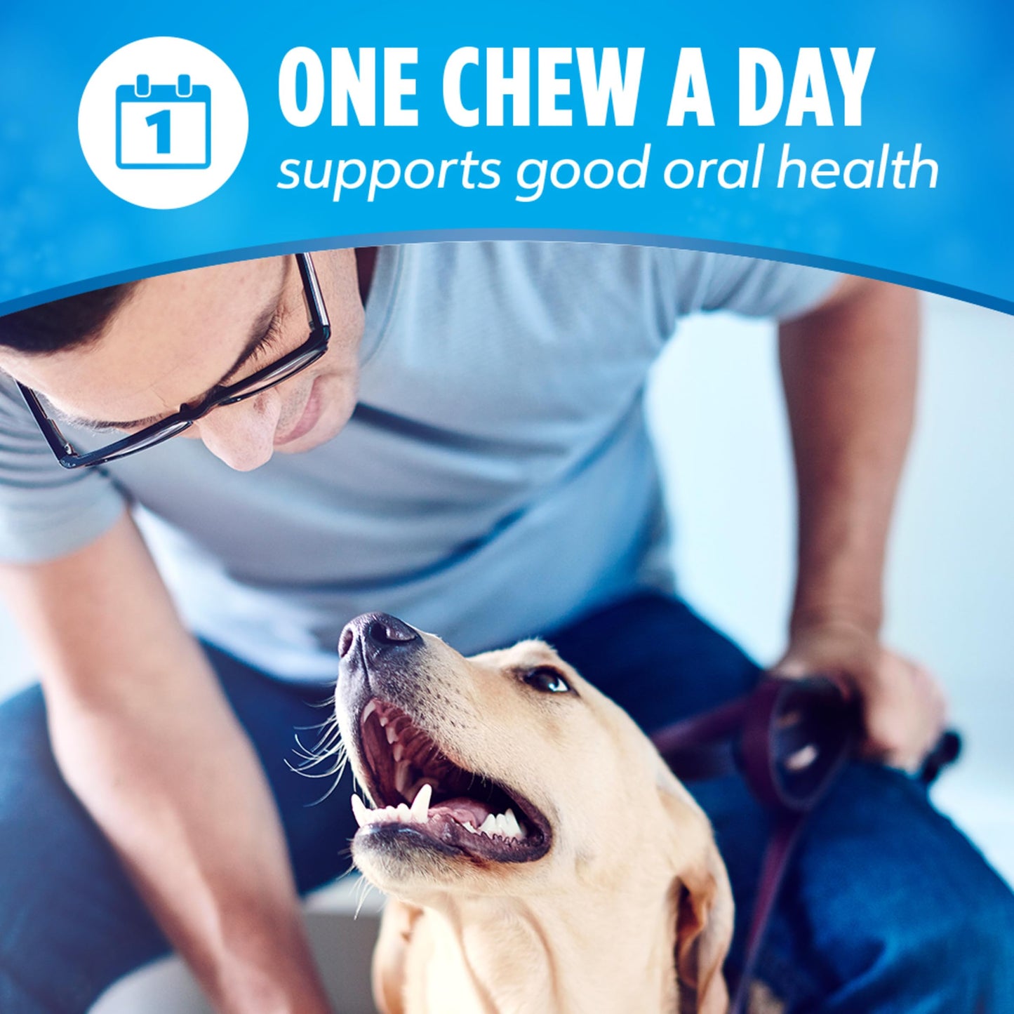 DentaLife Daily Oral Care Dog Treats for Small and Medium Dogs, Chewy Dental Treat to Freshen Breath and Fight Tartar, Chicken Flavor, 28.5 oz., 40 Chews - 40 ct. Pouch