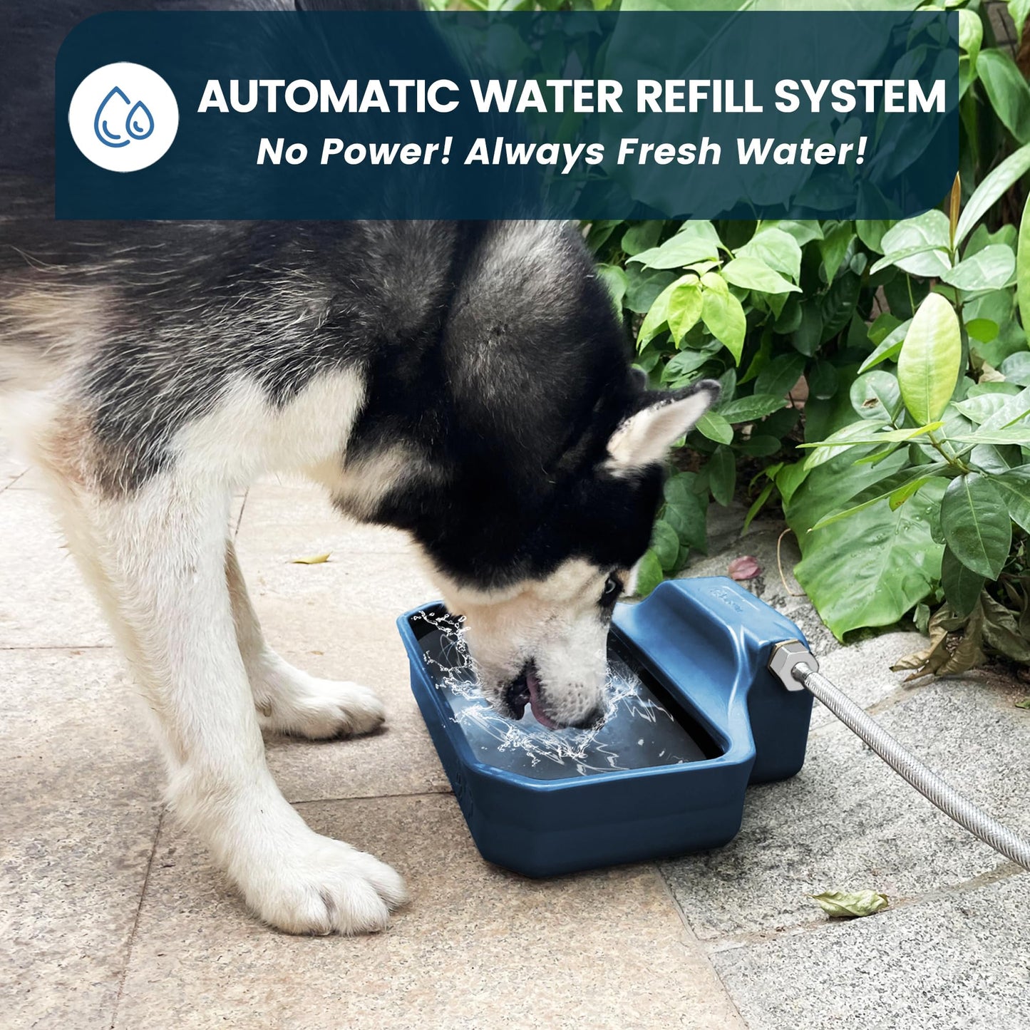 Automatic Dog Water Dispenser, 1 Gallon Dog Water Bowl for Indoor & Outdoor, Auto Water Feeder, Large Waterer for Pets & Livestock, Food Grade Material, Water Auto-Refill, Fit GHT 3/4" Faucet, Blue