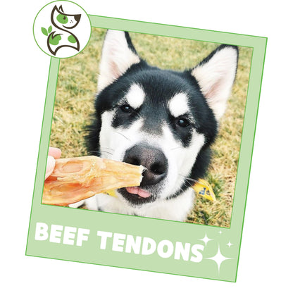 Nature Gnaws Beef Tendons for Dogs (1Lb) - Mixed Thickness - Long Lasting for Small and Medium Dogs - Natural Beef Jerky Dog Chew Bones - Rawhide Free