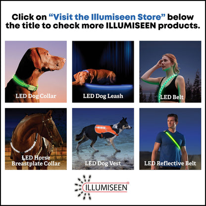 Illumiseen LED Dog Collar USB Rechargeable - Bright & High Visibility Lighted Glow Collar for Pet Night Walking - Weatherproof, in 6 Colors & 6 Sizes (Green Large)