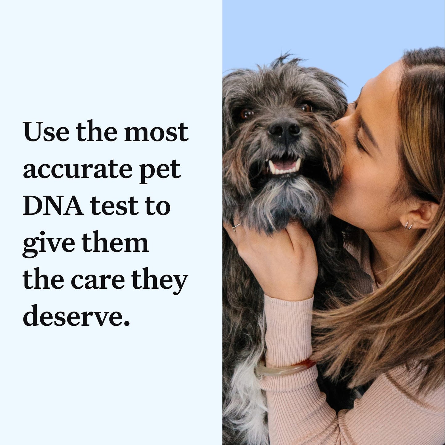 Wisdom Panel Essential Dog DNA Kit: Most Accurate Test for 365+ Breeds, 30 Genetic Health Conditions, 50+ Traits, Relatives, Ancestry - 1 Pack