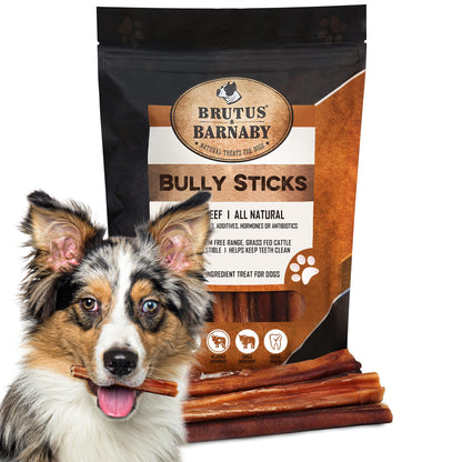 BRUTUS & BARNABY Grass Fed Bully Sticks for Dogs, Fully Digestible Dog chew, Grain Free, Rawhide Free, 100% Natural Beef, Small Batched for Freshness and Low Odor