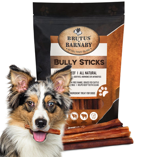 BRUTUS & BARNABY Grass Fed Bully Sticks for Dogs, Fully Digestible Dog chew, Grain Free, Rawhide Free, 100% Natural Beef, Small Batched for Freshness and Low Odor