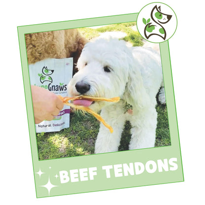 Nature Gnaws Beef Tendons for Dogs (1Lb) - Mixed Thickness - Long Lasting for Small and Medium Dogs - Natural Beef Jerky Dog Chew Bones - Rawhide Free