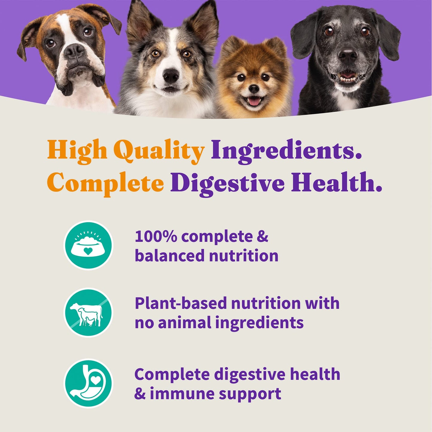 Halo Holistic Plant-Based Recipe with Kelp, Complete Digestive Health, Vegan Dry Dog Food Bag, Adult Formula, 21-lb Bag