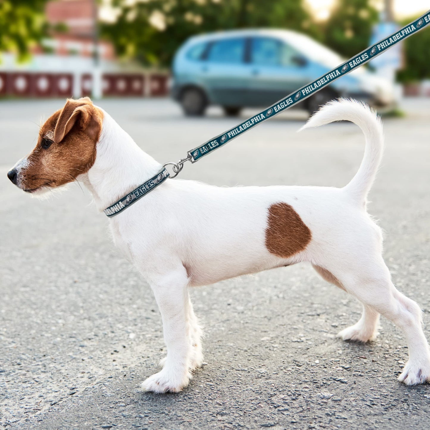 NFL PET Leash Philadelphia Eagles Dog Leash, Large Football Team Leash for Dogs & Cats. A Shiny & Colorful Cat Leash & Dog Leash Licensed by The NFL