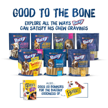 Purina Busy Bone Made in USA Facilities, Long Lasting Small/Medium Breed Adult Dog Chews, Peanut Butter Flavor - 10 ct. Pouch