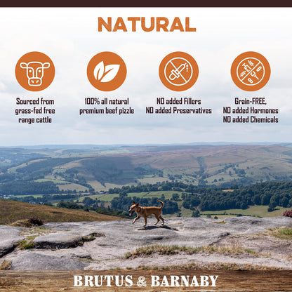 BRUTUS & BARNABY Grass Fed Bully Sticks for Dogs, Fully Digestible Dog chew, Grain Free, Rawhide Free, 100% Natural Beef, Small Batched for Freshness and Low Odor