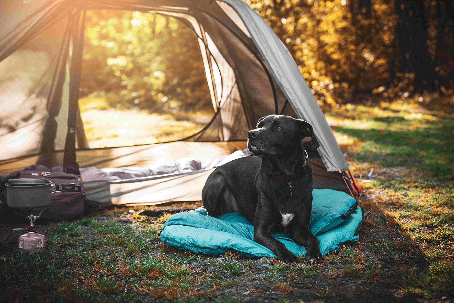 Ultralight Dog Sleeping Bag Backpacking—Outdoor Dog Bed for Hiking—Backpacking Gear for Dogs—Dog Hiking Gear—Dog Camping Gear—Packable Sleeping Bag for Dogs—Dog Travel Bed (Glacial Blue | Medium)