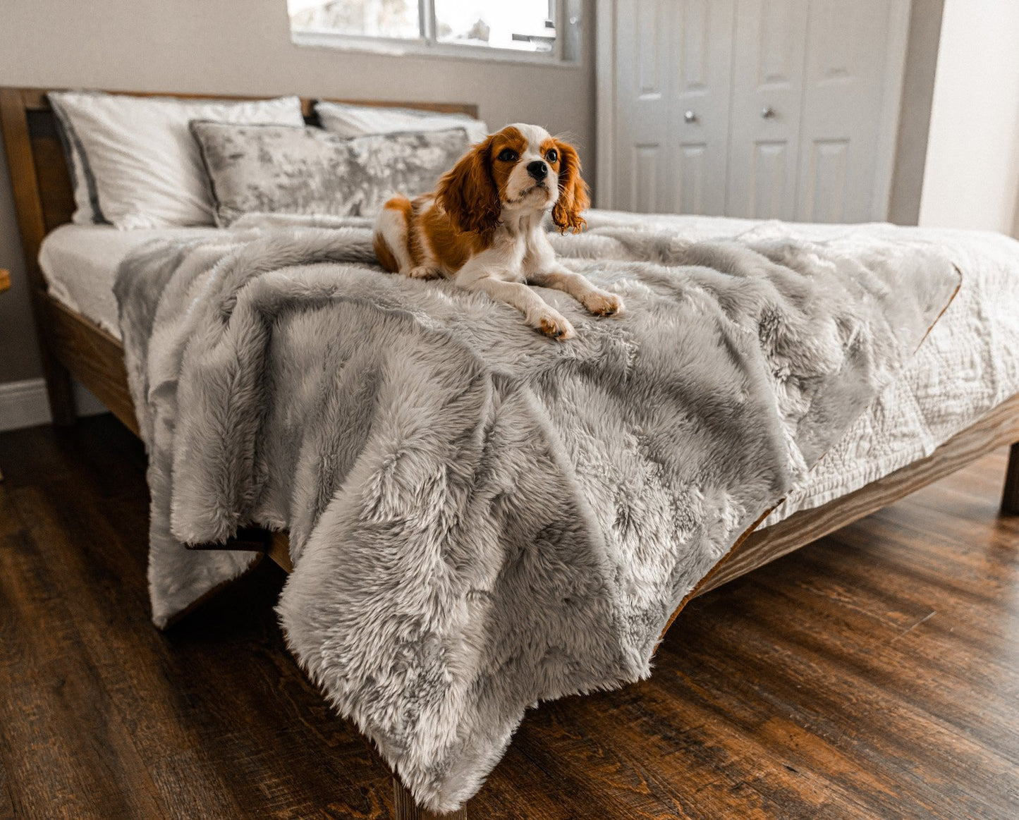 PupProtector™ Short Fur Waterproof Throw Blanket - Grey