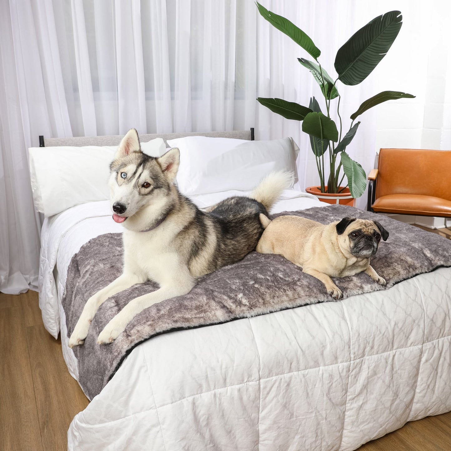 PupProtector™ Luxe Waterproof Bed Runner - Ultra Soft Chinchilla